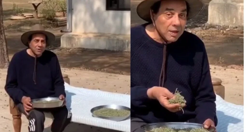 dharmendra video
