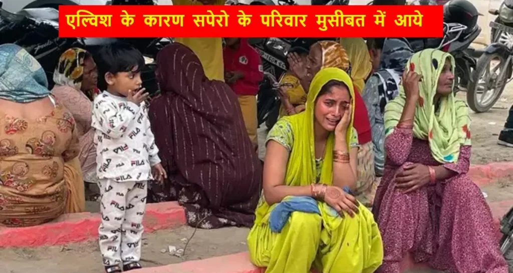 Elvish Yadav Case
